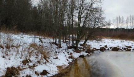 Необычная находка: Полиция пытается понять, откуда в Подмосковье появилась &laquo;шайтан-труба&raquo;