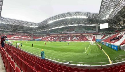 Разные мнения по поводу карты болельщика — FanID