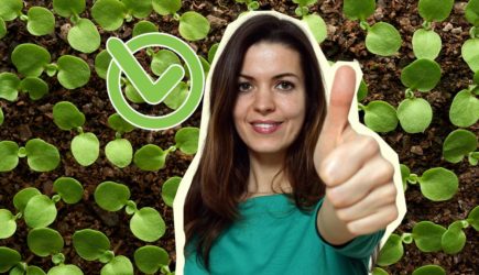 Садоводы скрывали это: вот как прорастить все семена