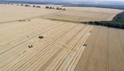 Россия выставила ультиматум по &laquo;зерновой сделке&raquo;. У Запада ровно два месяца