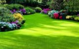 Сделать идеальный газон — легко! Вот что вам поможет&#8230;