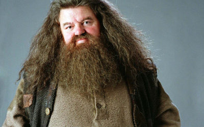 Звезда &laquo;Гарри Поттера&raquo; оказался прикован к инвалидному креслу