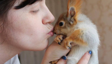 Женщина подобрала белку: удивительный зверек изменил ее жизнь