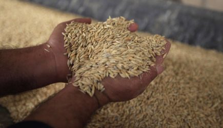 Песков заявил о прекращении договоренностей по зерновой сделке