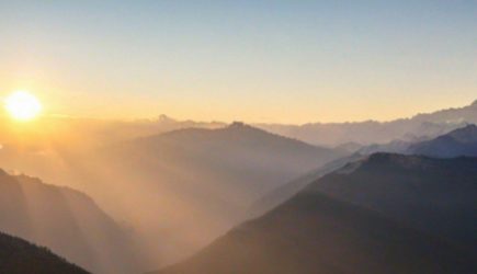 Вот и всё стало ясно: почему урны красят в жёлтый цвет