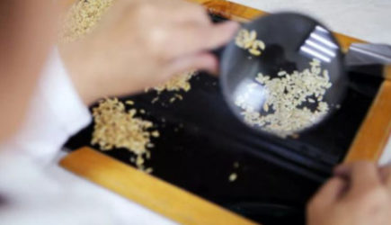 Найдена каша, которая повышает риск смерти