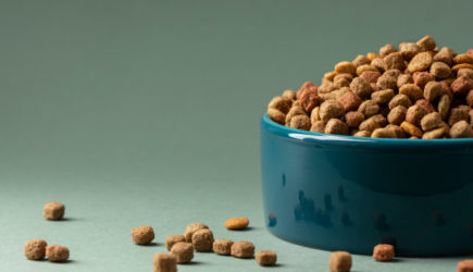 Как&nbsp;кошки и&nbsp;собаки &laquo;говорят&raquo;, что&nbsp;им не&nbsp;нравится их корм