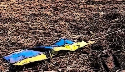 Победы не&nbsp;будет ни&nbsp;завтра, ни&nbsp;через год&nbsp;&mdash; вдова правосека