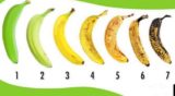 Банан под каким номером вы бы купили? Многие ошибаются