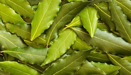 Похудение с лавровым листом: миф или реальность? Полное руководство