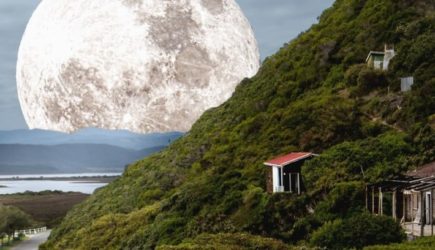 &laquo;Мир движется в &laquo;петлю гибели&raquo;: ученые сделали ужасное открытие