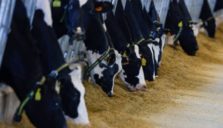 На Украине возник дефицит необходимого для жизни продукта