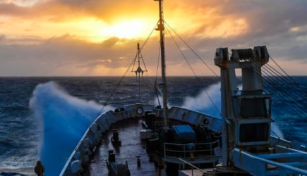 Песков прокомментировал идею закрыть Балтику для РФ из-за ЧП с Вalticconnector