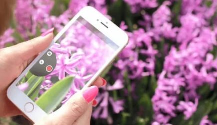 Ваш смартфон за вами же и следит: что надо знать