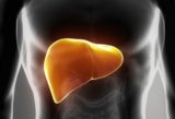 Потеря веса, появление отеков и еще 7 признаков рака печени