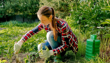 Сеять под зиму — это лучший садовый трюк для ленивых людей.