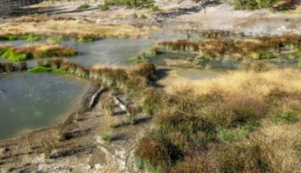 &laquo;Зона смерти&raquo;: в&nbsp;США есть место, где можно безнаказанно убивать