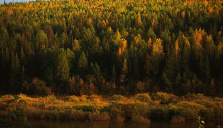 В глухой тайге обнаружен гигантский механизм начала 19 века. Никто не знает для чего он и как попал в эти края