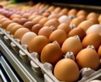 Почему подорожали яйца в России