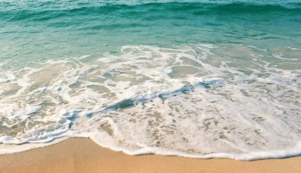 Женщина нашла похожее на монстра из фильма &laquo;Чужой&raquo; существо на пляже