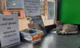 Жители Зеленоградска начали собирать подписи в защиту уволенного кота