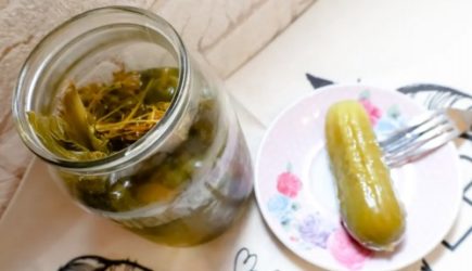 Достаньте из погреба и отнесите на помойку: какие соленья есть нельзя &mdash; смертельно опасно