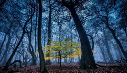 «Март и апрель будут сумасшедшими». Синоптики сказали, к чему готовиться