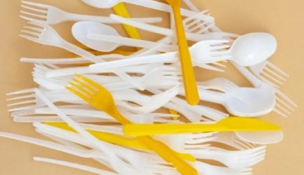 50 штучек прямо в клубнику: ни одна дачница никогда не выкинет одноразовую вилку &mdash; вот почему