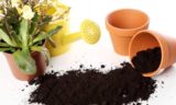 Не выбрасывайте старую почву из цветочного горшка: вот что с ней нужно сделать