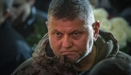 Зелю геть: в&nbsp;Киеве устроили &laquo;майдан&raquo; из-за отставки Залужного