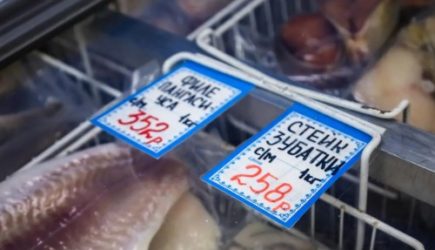 Едят трупы и человеческие отходы: это самые опасные виды рыбы &mdash; не покупайте никогда