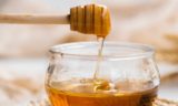 Самый полезный сорт меда: запомните и используйте — будете всегда здоровы