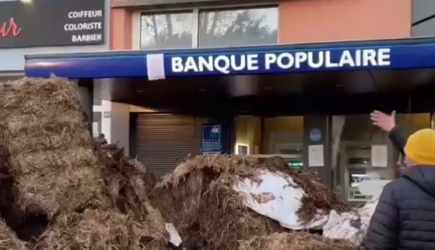 Куча навоза перед банком