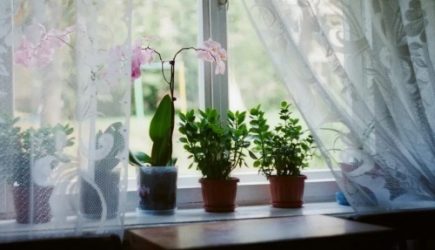 Уехал в отпуск &mdash; за цветок не переживаешь: как быстро сделать автоматическую поливалку