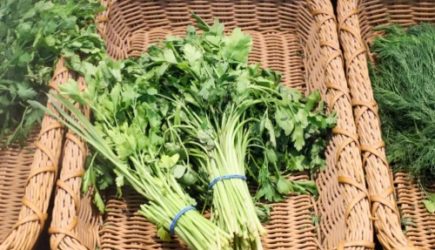 Для чего подвяленную зелень бросать в микроволновку: опытные хозяйки знают