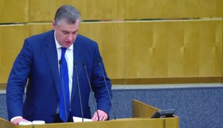 Лидеры ЛДПР и &laquo;Справедливой России&raquo; предложили вернуть смертную казнь