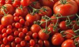Каждая помидорка станет слаще меда: чудодейственный эликсир готовим так