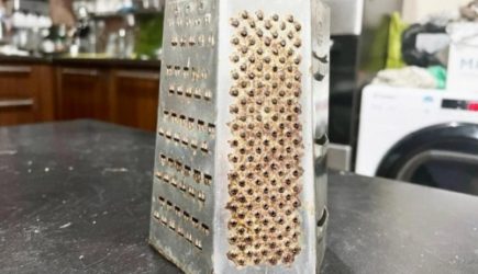 Зачем нужна «колючка» на терке: «Из десяти хозяек правду знает лишь одна»