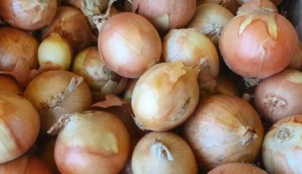 Зачем хозяйки со стажем замораживают шелуху лука: вы удивитесь