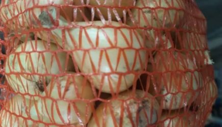 Вред репчатого лука: кому его точно нельзя есть &#8212; все о его полезных и вредных свойствах для человека