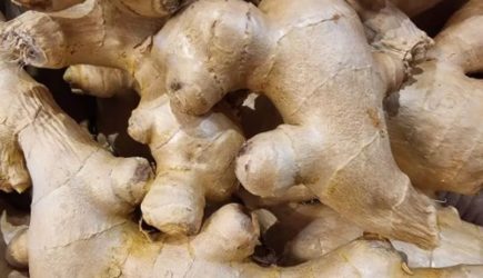 Какие 7 принципов позволят стать долгожителем: мнение экспертов