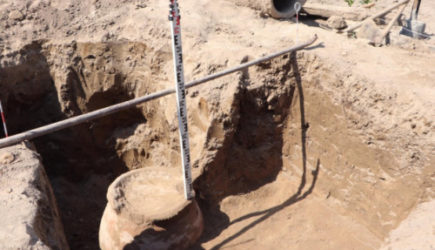 Фермер из Узбекистана обнаружил древние артефакты на своем участке