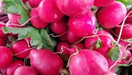 Кому редиска будет на пользу, а кому не стоит увлекаться