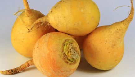 Этот овощ — кладезь витаминов: предки ели килограммами и горя не знали