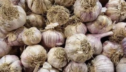 Что произойдет с организмом, если каждый день пить чесночную воду: потрясающий эффект