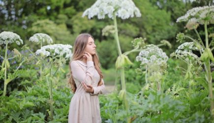 «Особо токсичный сорняк»: названы лучшие методы борьбы с борщевиком