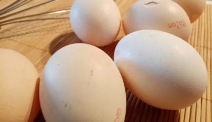 Что произойдет с человеком, если он будет постоянно есть яйца: мнение экспертов