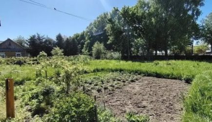 Почему умные огородники не выбрасывают крышки от пластиковых бутылок: эти вещи пригодятся на даче &#8212; 3 варианта использования