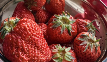 &laquo;Строго после еды&raquo;: нутрициолог заявила о вреде клубничной диеты