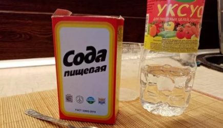 Чем полезна сода для помидоров: не все дачники знают — полезные варианты применения